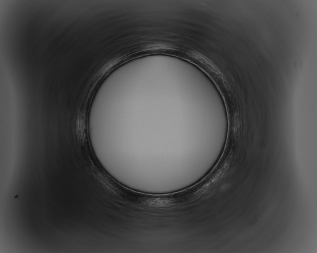 X0000100191321200806201246