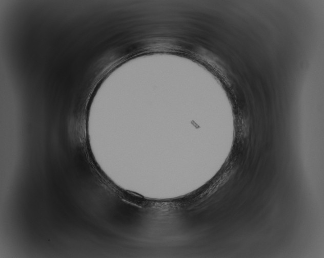 X0000100191322200806201246