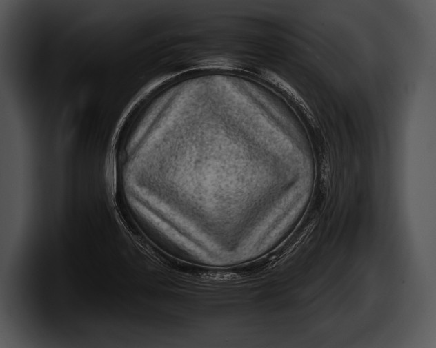 X0000100191323200806201246