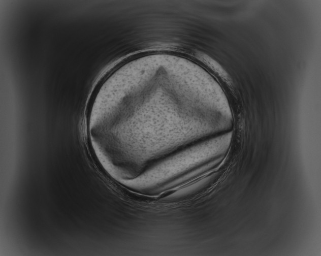 X0000100191324200806201246