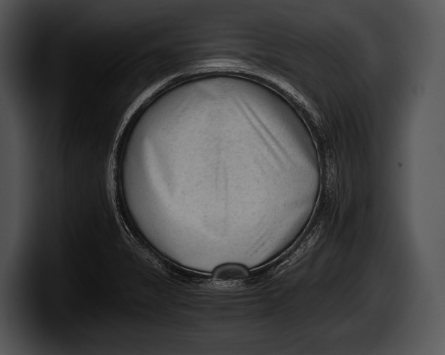 X0000100191325200806201246