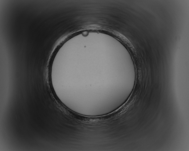 X0000100191326200806201246