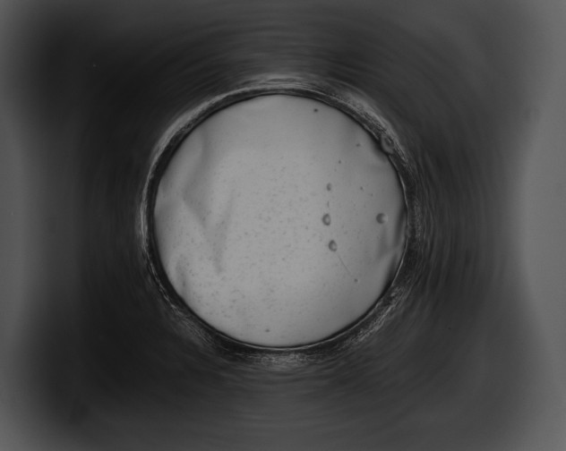 X0000100191328200806201246