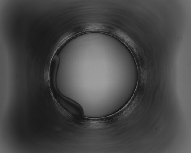 X0000100191330200806201246