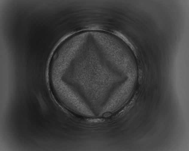 X0000100191331200806201246