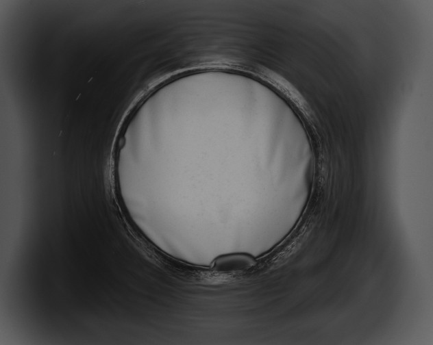 X0000100191332200806201246