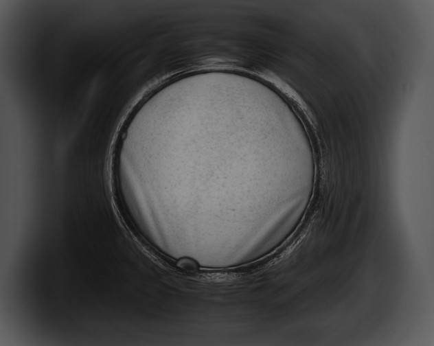 X0000100191333200806201246