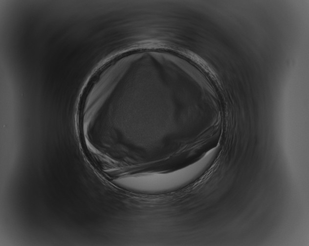 X0000100191334200806201246