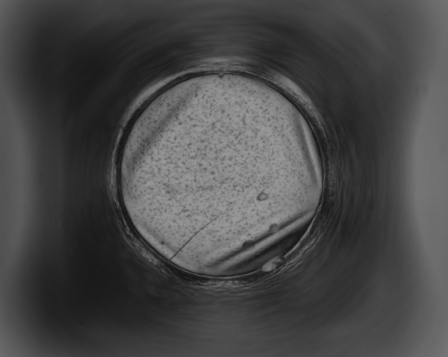 X0000100191336200806201246