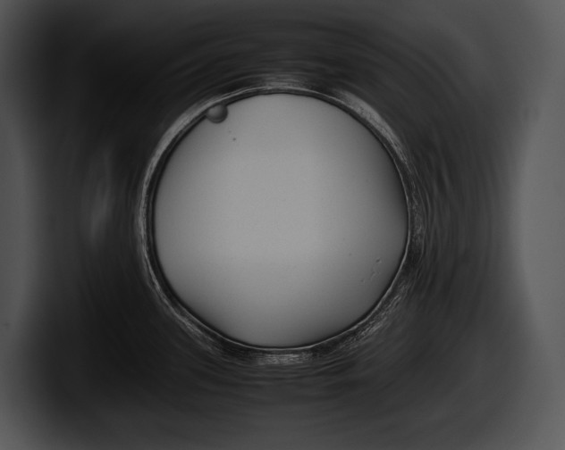 X0000100191339200806201247