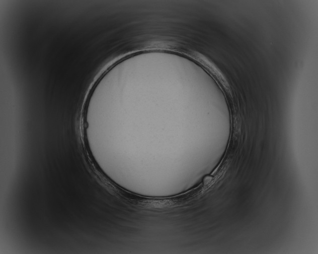 X0000100191340200806201247