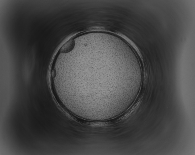 X0000100191341200806201247