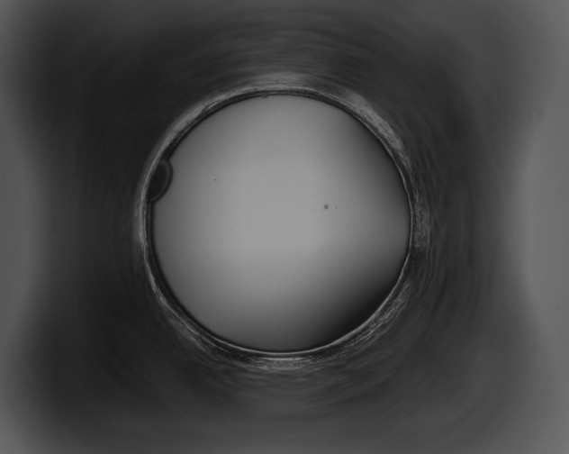 X0000100191342200806201247