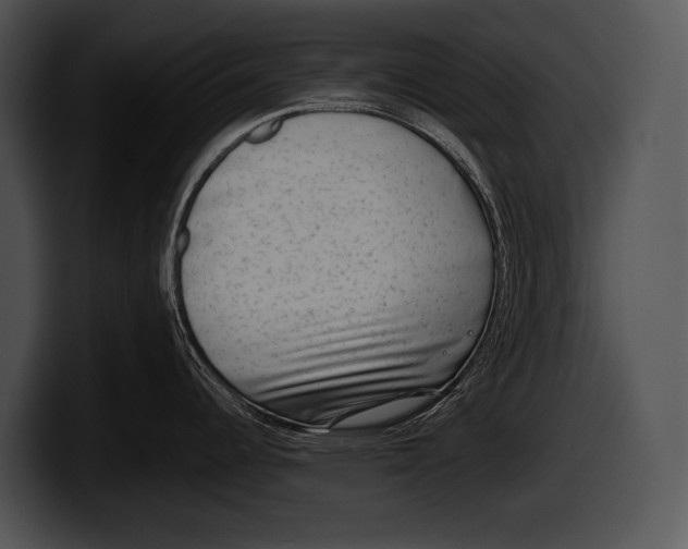 X0000100191344200806201247