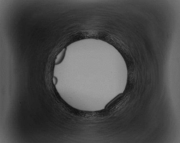 X0000100191345200806201246