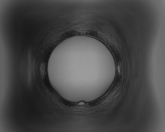 X0000100191347200806201246