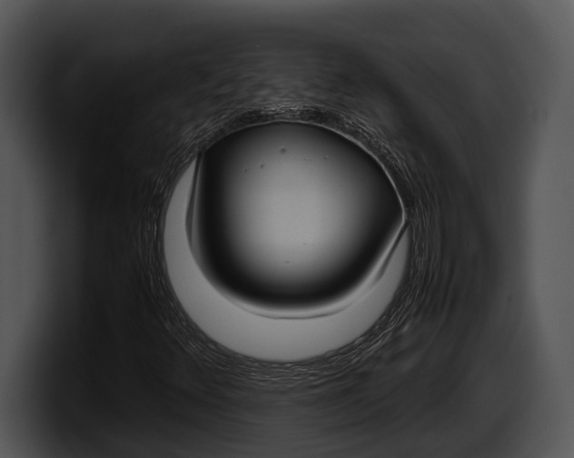 X0000100191348200806201246