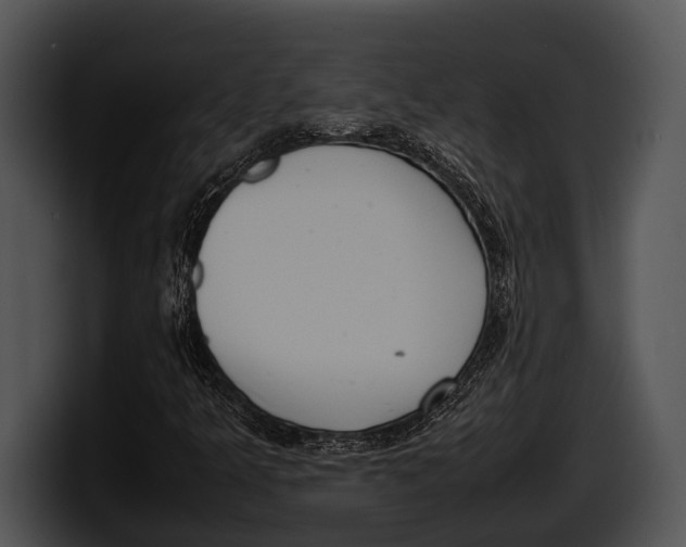 X0000100191349200806201246