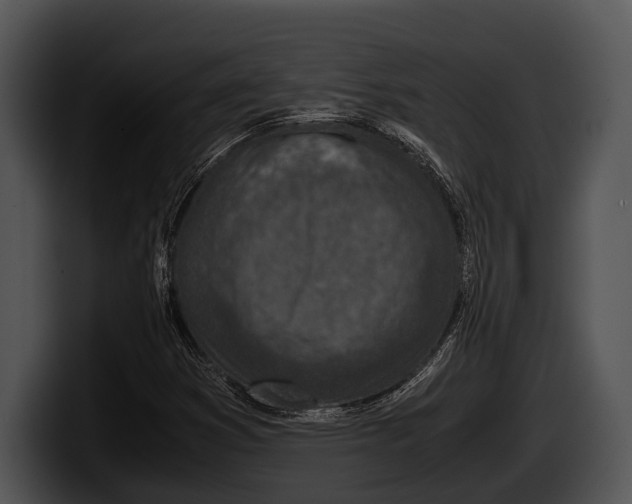 X0000100191353200806201246