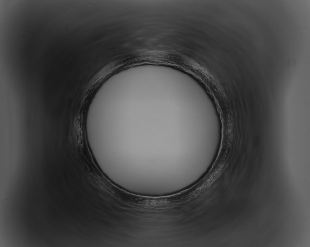 X0000100191354200806201246