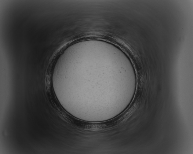 X0000100191355200806201246