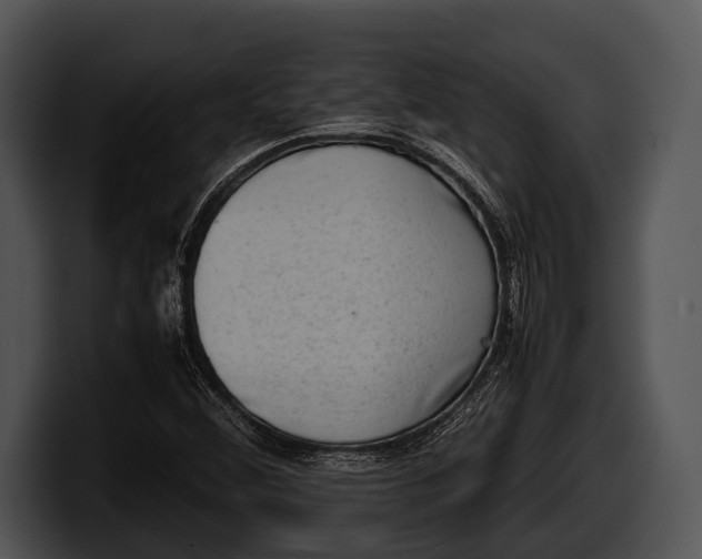 X0000100191356200806201246