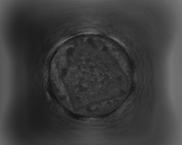 X0000100191359200806201246