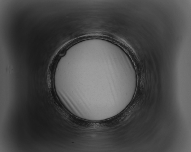 X0000100191360200806201246