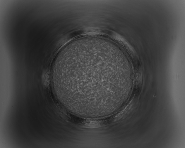 X0000100191361200806201246