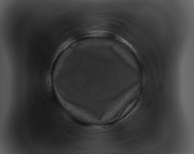 X0000100191362200806201246