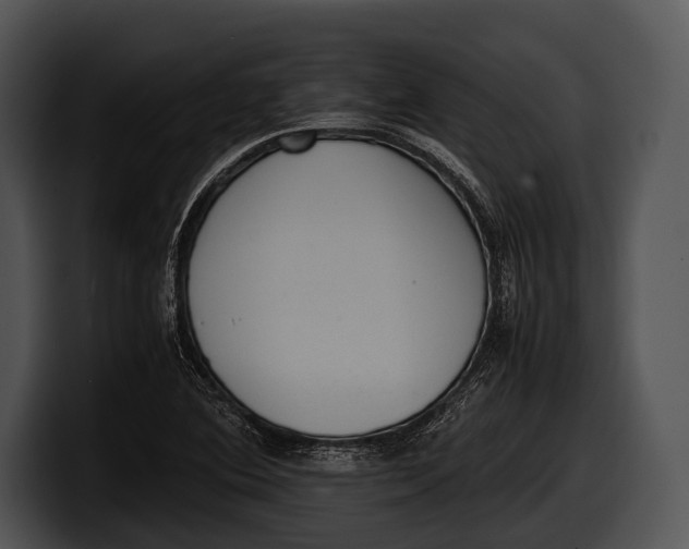 X0000100191364200806201246