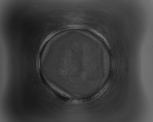 X0000100191365200806201246