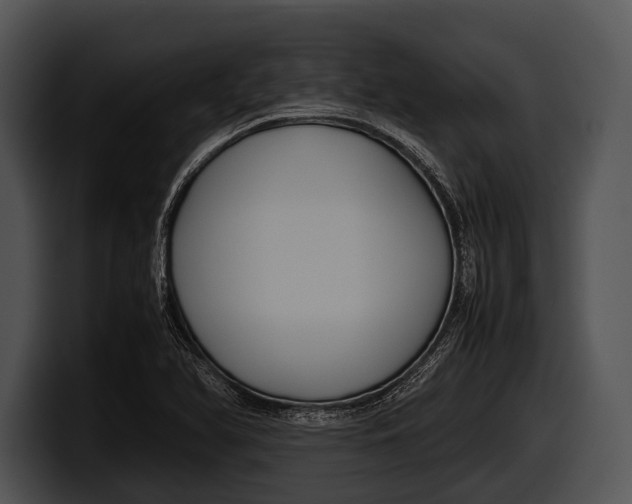 X0000100191366200806201246