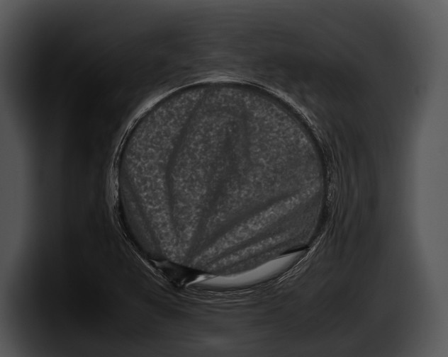 X0000100191367200806201246