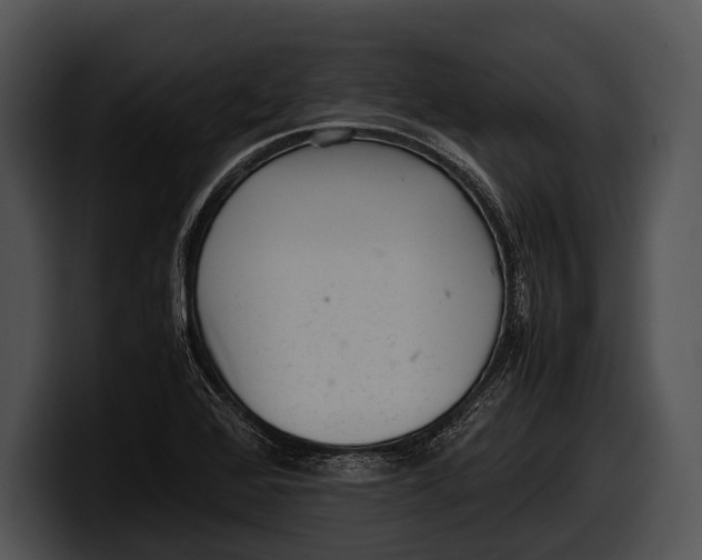 X0000100191368200806201246