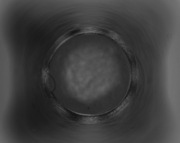 X0000100191369200806201246