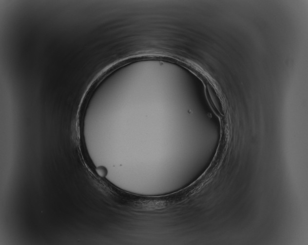 X0000100191372200806201246