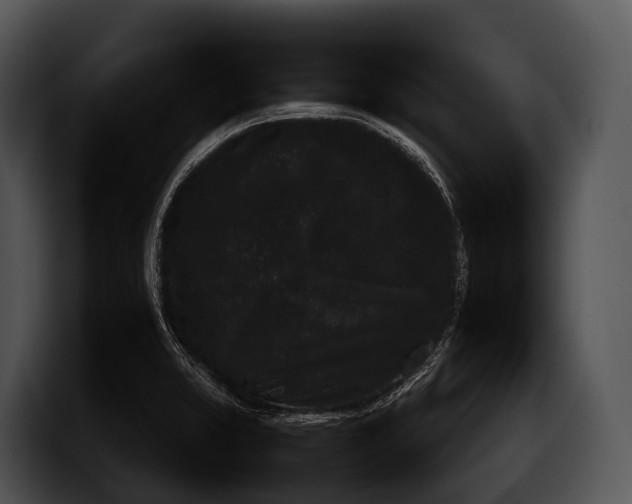 X0000100191373200806201246