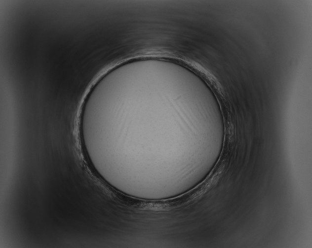 X0000100191374200806201246