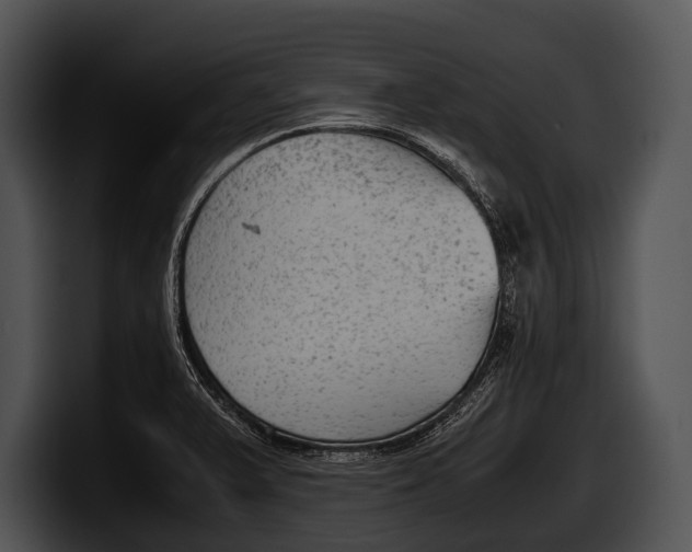 X0000100191375200806201246