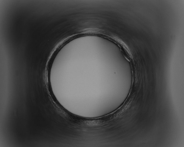 X0000100191376200806201246