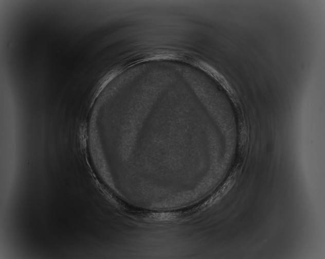 X0000100191377200806201246