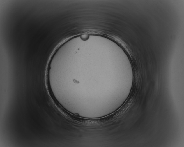 X0000100191379200806201246