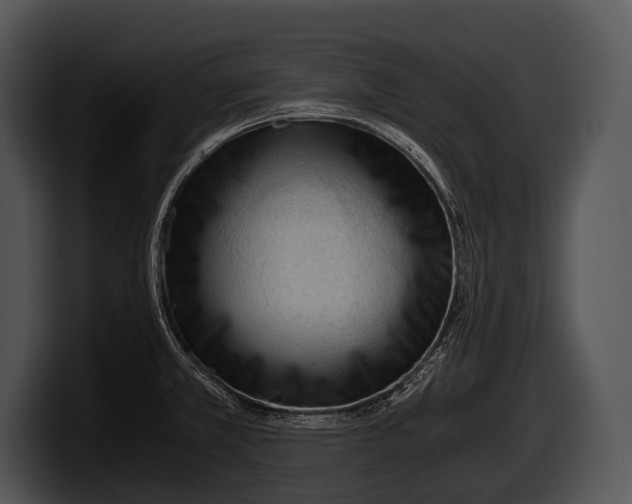 X0000100191381200806201245