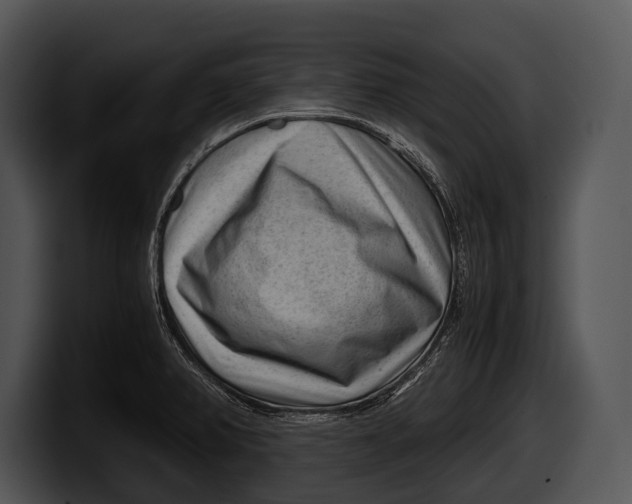 X0000100191382200806201245