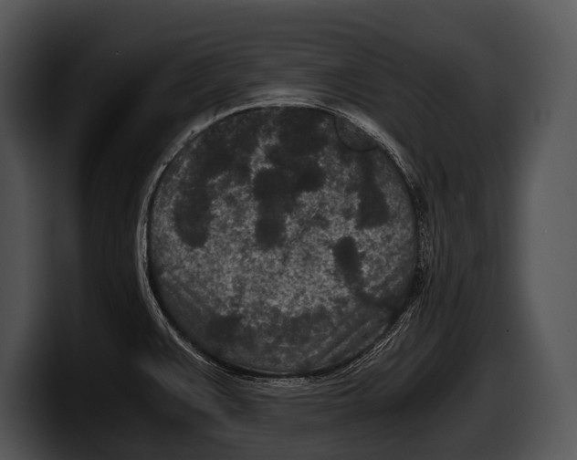 X0000100191383200806201245