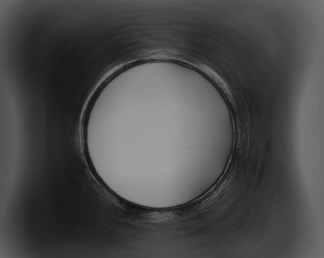 X0000100191384200806201245