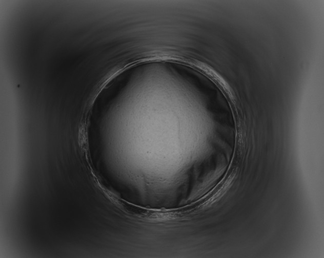 X0000100191385200806201245