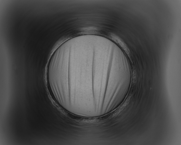 X0000100191386200806201245