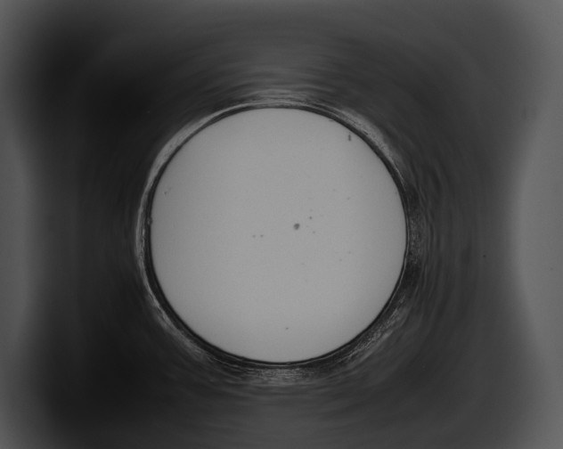 X0000100191387200806201245